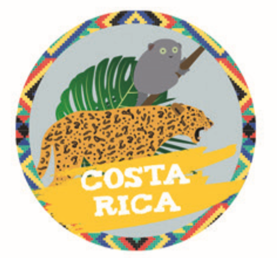 COSTA RICA PARITILLA